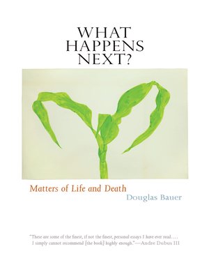 cover image of What Happens Next?